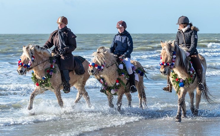 Strao Renesse 2