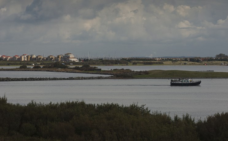 Grevelingenmeer