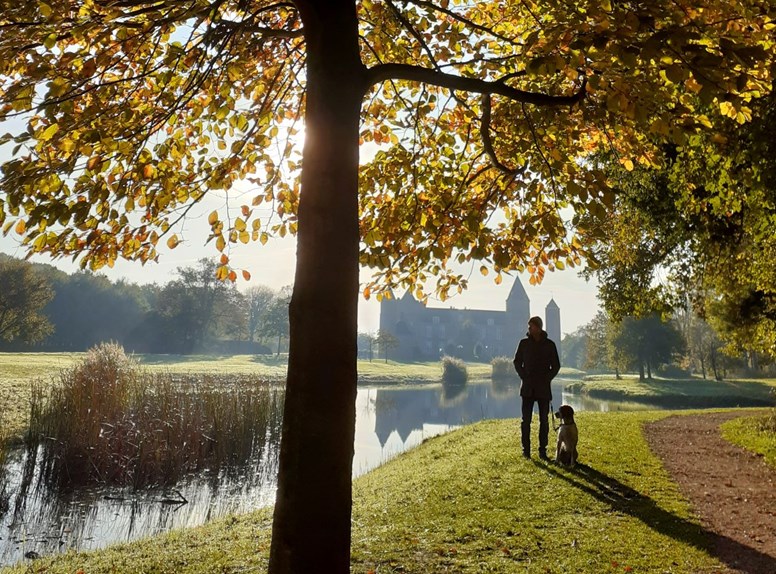 Paarden bij de Oranjezon. Misschien ontdek je wel andere dieren tijdens je herfstwandeling in Zeeland.