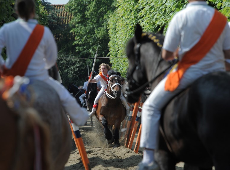 ringrijden