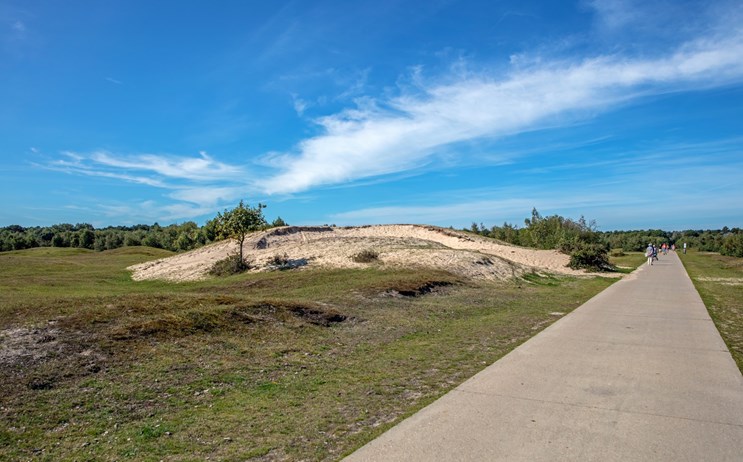 boswachterij westerschouwen