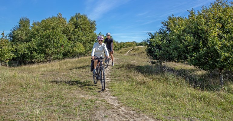 mountainbiken westerschouwen