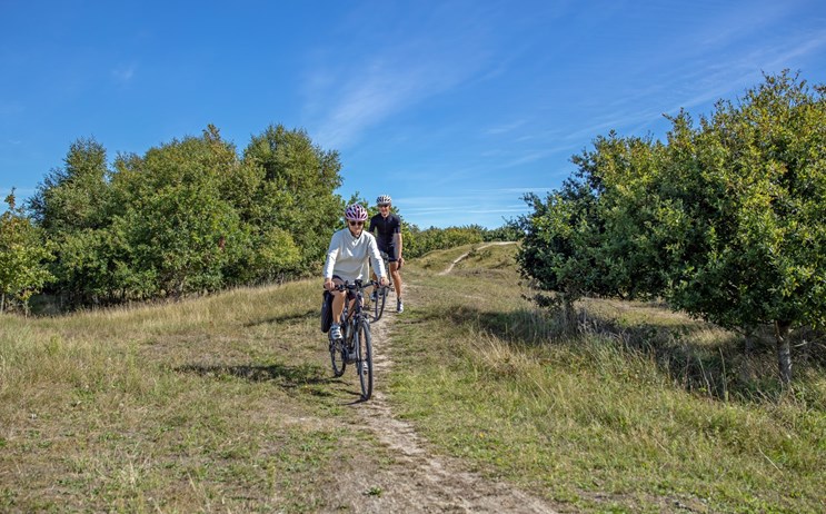 Mountainbiken in Schouwen-Duiveland