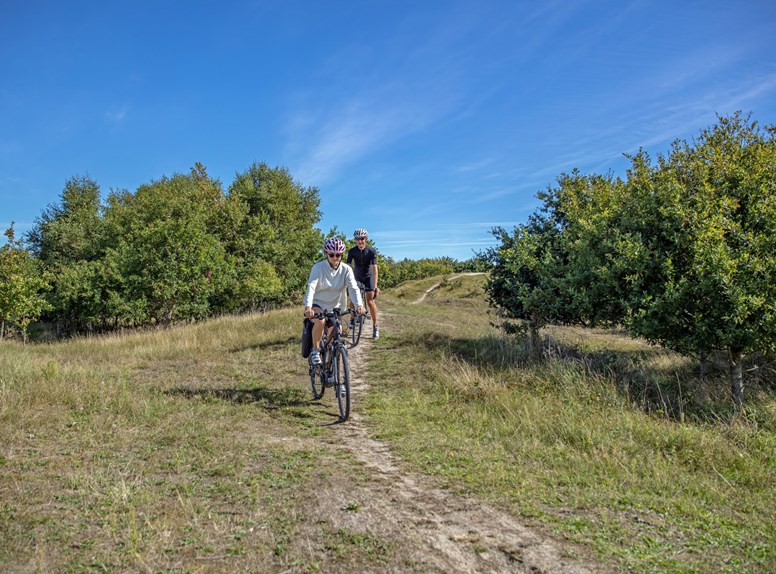 Mountainbiken en fietsen in Zeeland