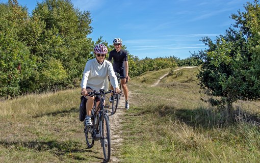 Mountainbiken boswachterij Westerschouwen
