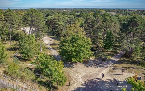 uitzicht boswachterij westerschouwen