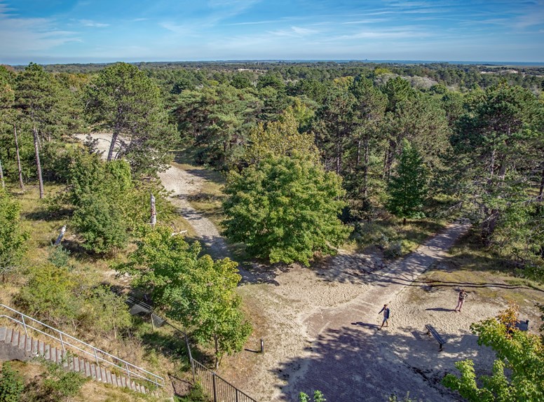 Het uitzicht vanuit de toren bij boswachterij Westerschouwen is tijdens de herfst verrassend mooi.