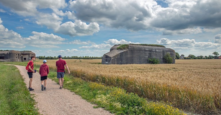 Wandelnetwerken in Zeeland. Genieten van de Zeeuwse natuur met je eigen samengestelde wandelroute. Met wandelnetwerk Zeeland is veel te ontdekken! 