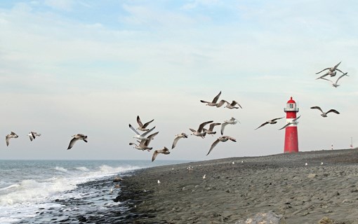 Vuurtoren Westkapelle