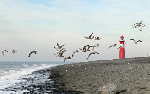 Vuurtoren Westkapelle