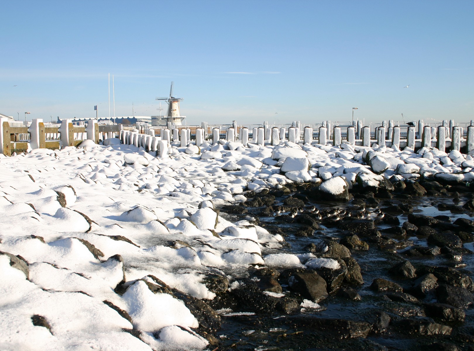 Winter in Zeeland