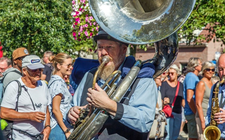 muzikant festival domburg