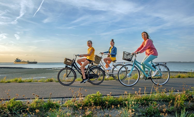 Bekijk hier de top 9 fietsroutes van Zeeland