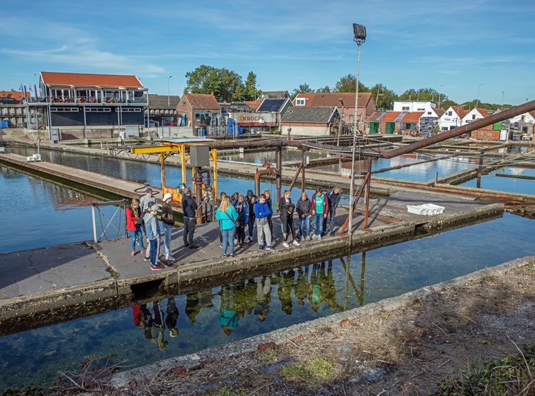 Yerseke oesterputten groep