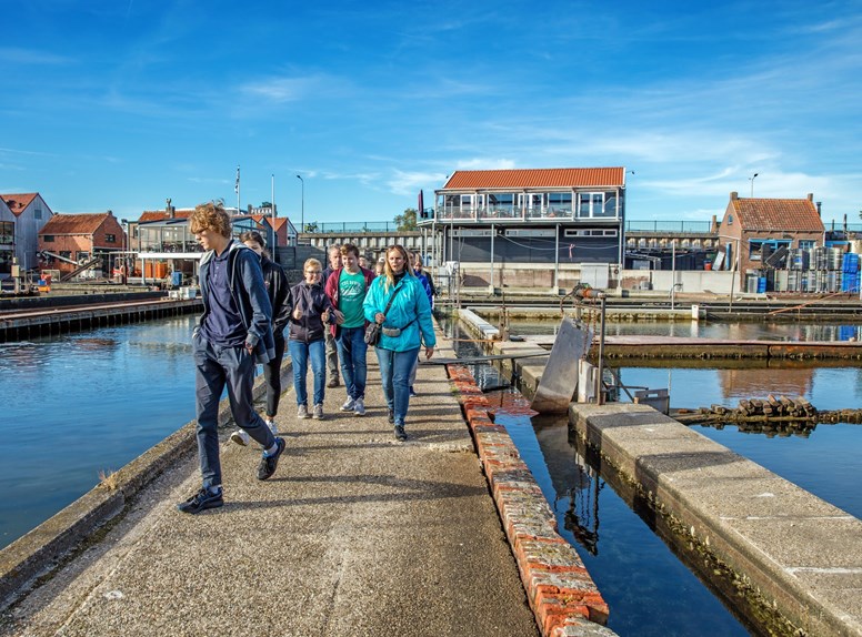 Yerseke oesterputten rondleiding