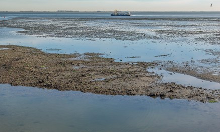 Yerseke Oosterschelde