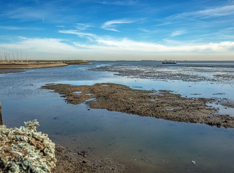 De Oosterschelde bij Yerseke