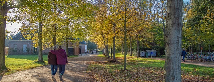 Walking in Zeeland during autumn