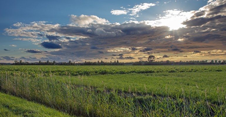 Nature in Zeeland
