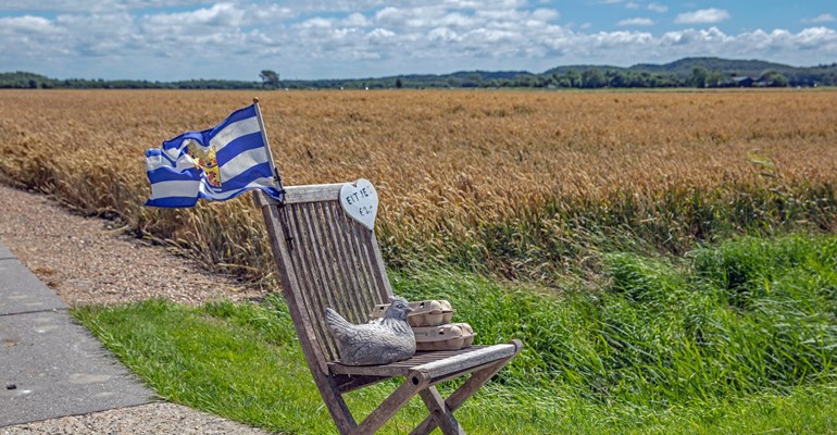 eieren te koop zeeland