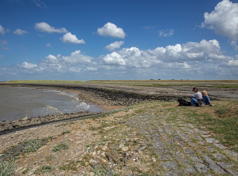 Heerlijk wandelen langs ze Zeeuwse kust. 