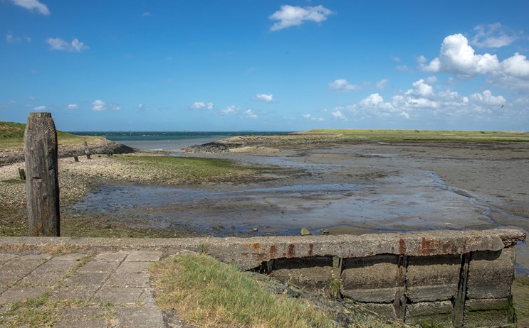 natuur dijk noord beveland