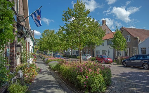 Kats straat