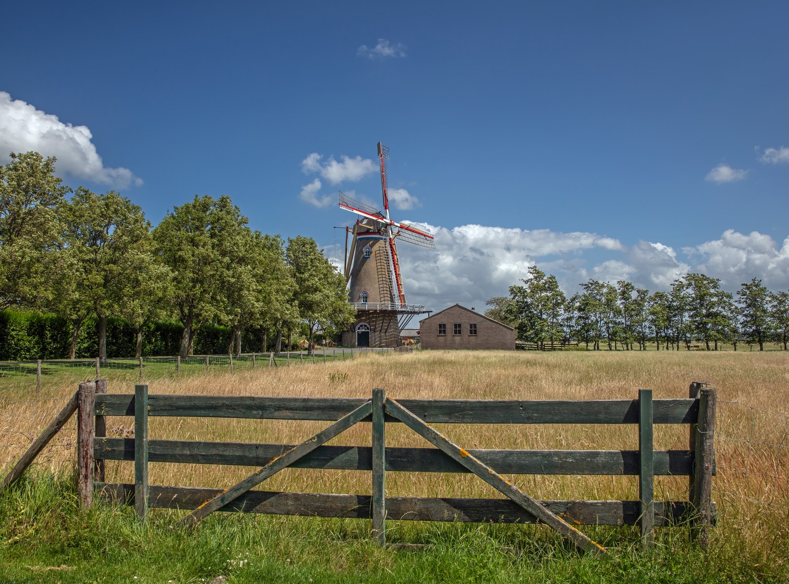 Wissenkerke molen weiland