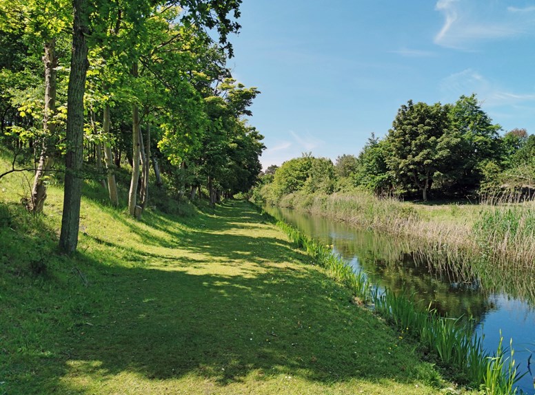 Oranjezon gras water natuur 2