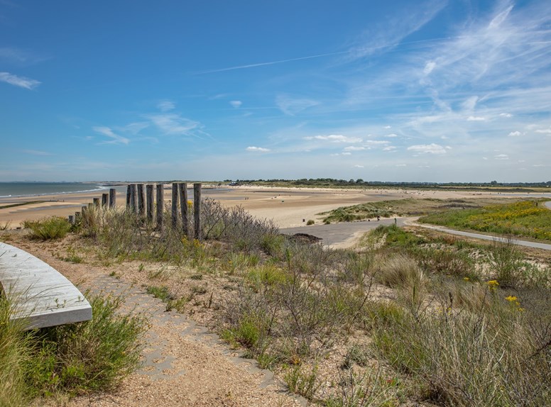 Strand Panoramaroute Zeeuws-Vlaanderen