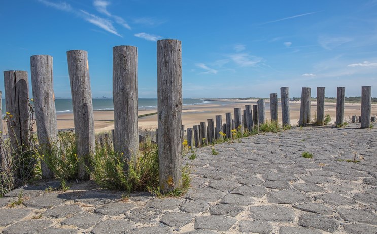 Strand Panoramaroute Zeeuws-Vlaanderen