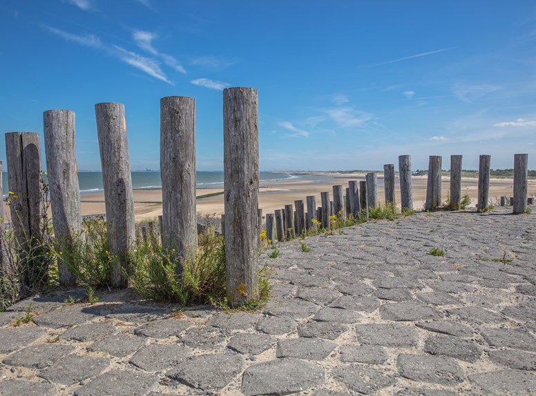 Strand Panoramaroute Zeeuws-Vlaanderen