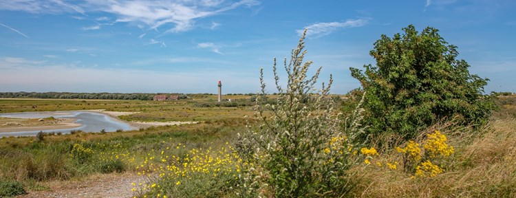 Uitzicht radartoren Panoramaroute Zeeuws-Vlaanderen
