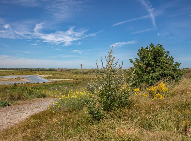 Uitzicht radartoren Panoramaroute Zeeuws-Vlaanderen