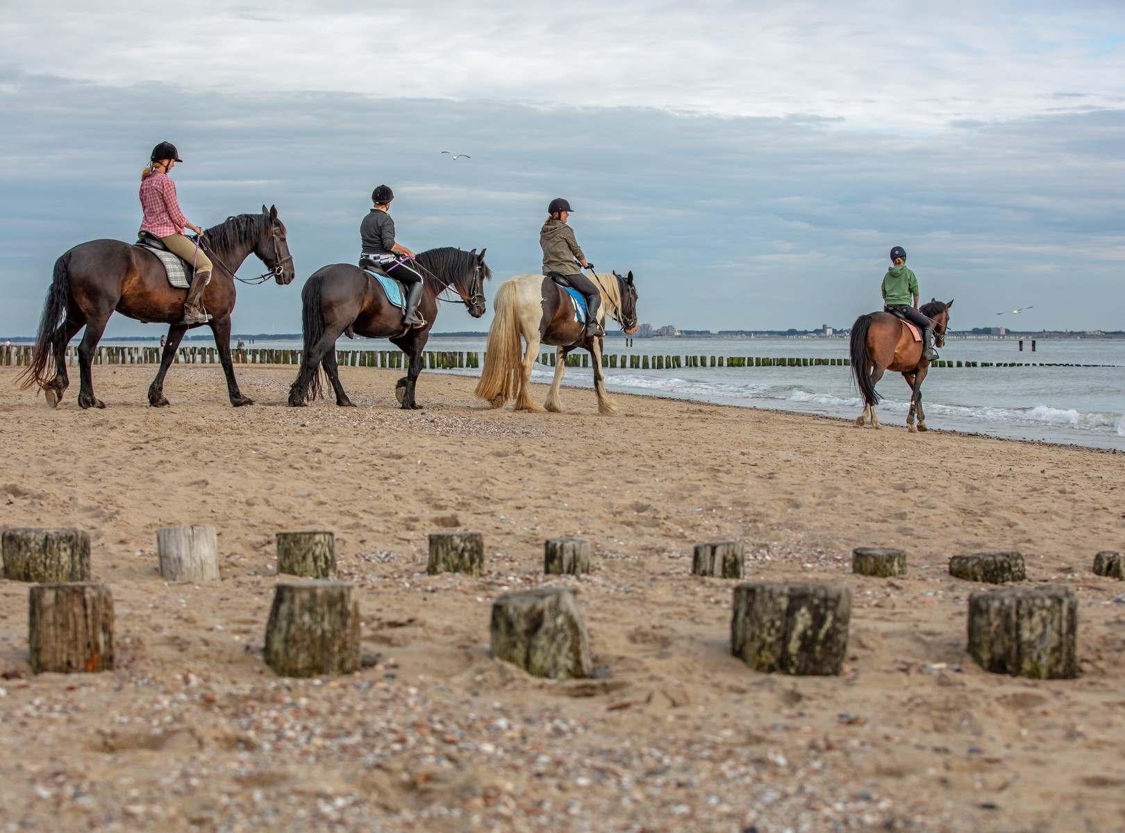 Paardrijden in Zeeland | Zeeland.com
