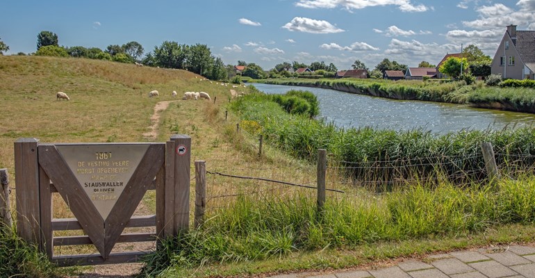 Veerse meer water hek schapen