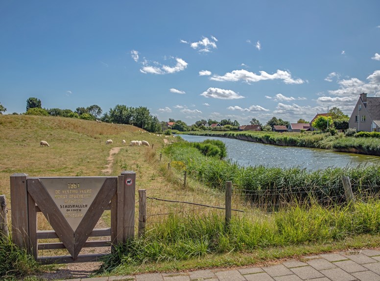 Veerse meer water hek schapen