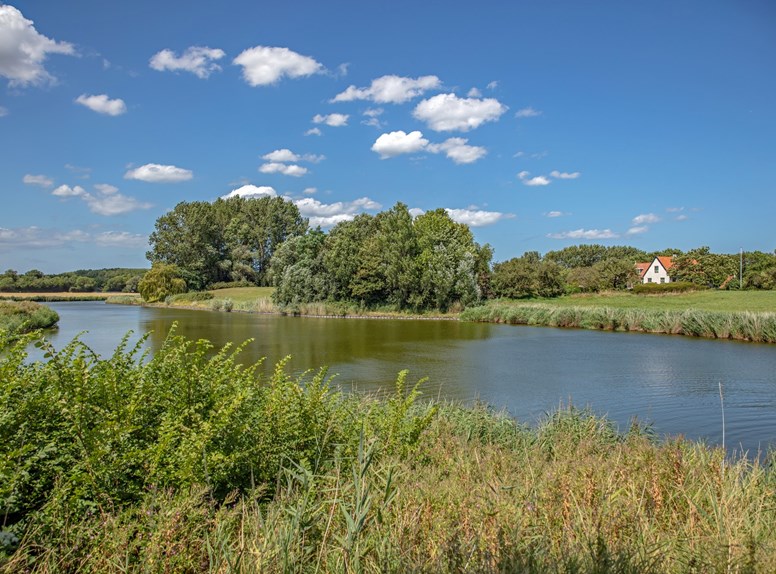 Hirsche beobachten in Zeeland, Haringvreter