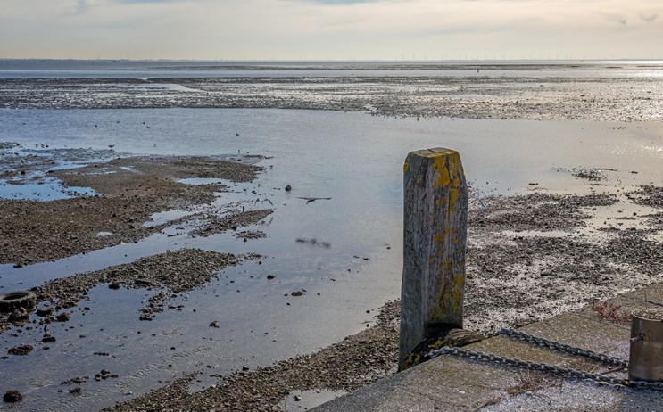 De Oosterschelde met laag water bij Yerseke is een goede plek voor het rapen van van mossels, kokkels, kreukels , oesters, en scheermessen.