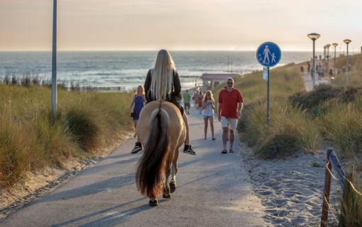 Zoutelande paardrijden