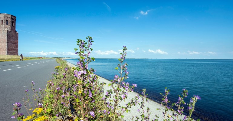 Fietspad, fietsen op Schouwen-Duiveland