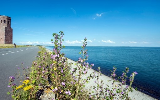 plompetoren zeeland