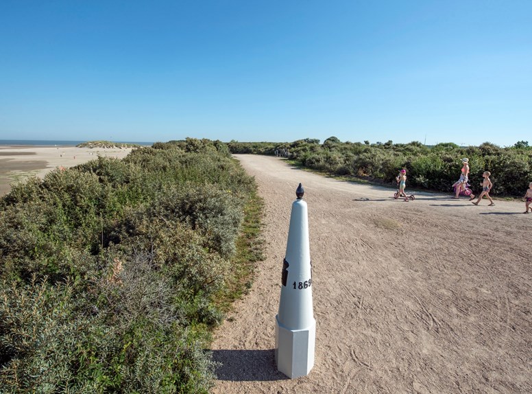 Dunes summer