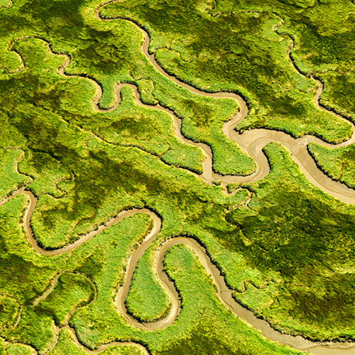 Zeeland, On-Nederlands mooi, natuur