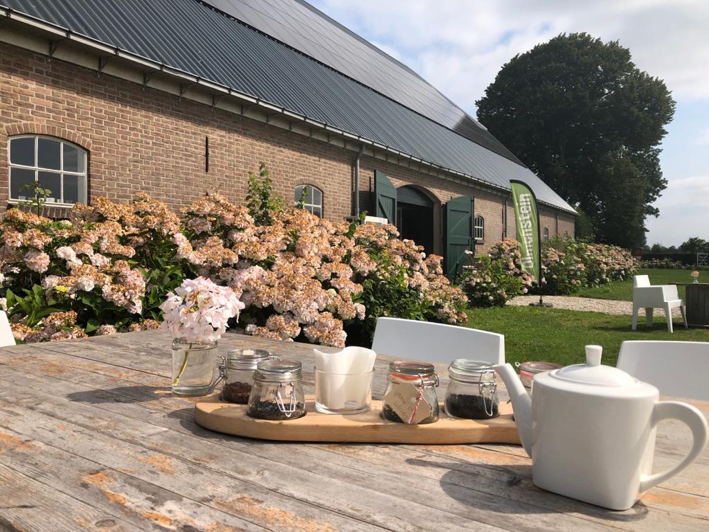 Op 't Hof Olmenstein