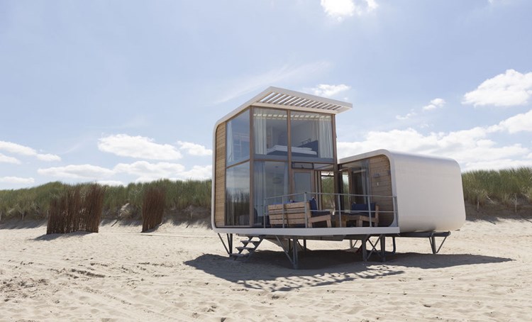 Ferienhaus-urlaub In Nordholland Mit Hund