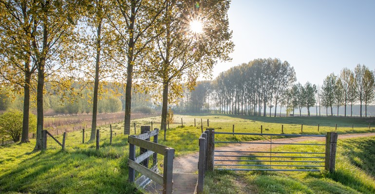 Wandelen in Zeeland, te voet genieten van de Zeeuwse natuur.