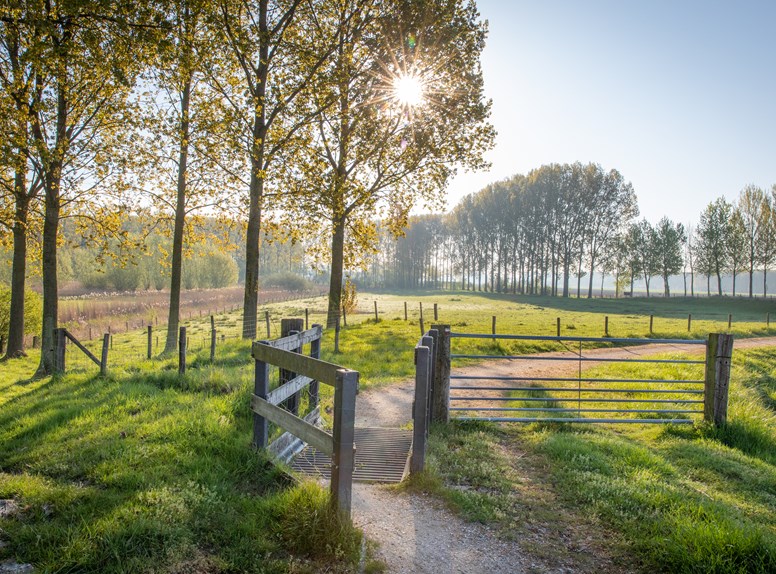 Wandelen in Zeeland, te voet genieten van de Zeeuwse natuur.
