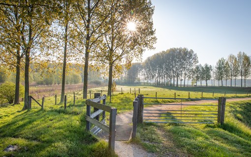 Staats-Spaanse Linies