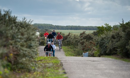 Cadzand mountainbike fietstour groep